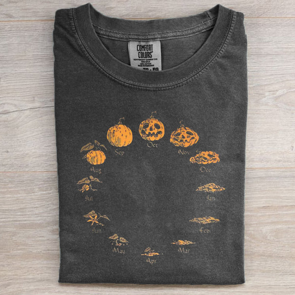 Pumpkin Growing Period T-shirt